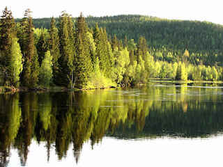 glad sommar
