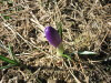Nyhetsbrev #april